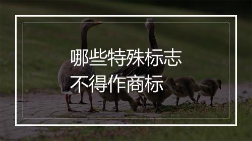 哪些特殊标志不得作商标