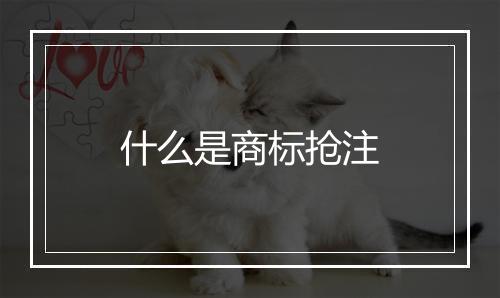 什么是商标抢注