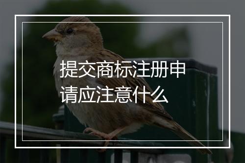 提交商标注册申请应注意什么