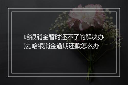 哈银消金暂时还不了的解决办法,哈银消金逾期还款怎么办