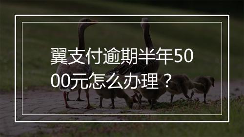 翼支付逾期半年5000元怎么办理？