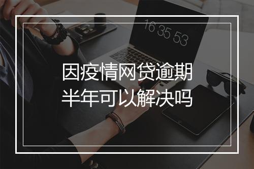 因疫情网贷逾期半年可以解决吗