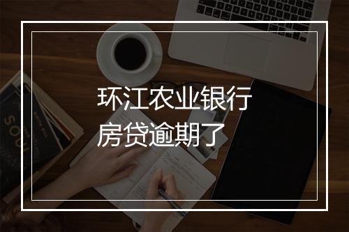 环江农业银行房贷逾期了
