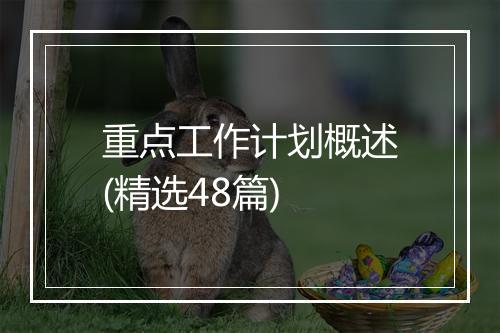 重点工作计划概述(精选48篇)