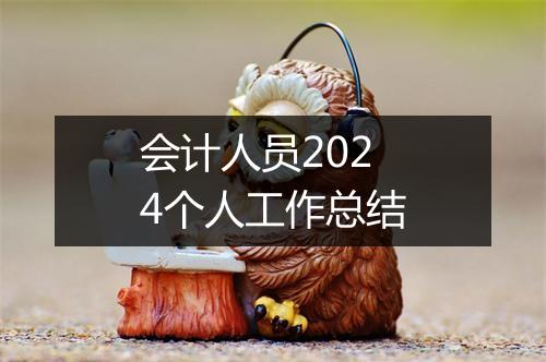 会计人员2024个人工作总结