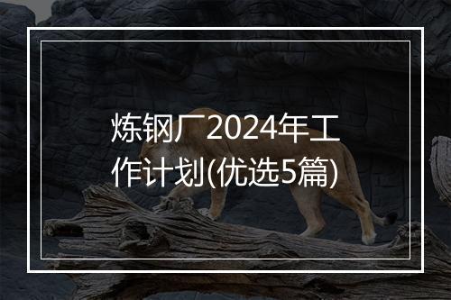 炼钢厂2024年工作计划(优选5篇)