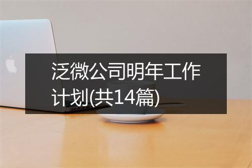 泛微公司明年工作计划(共14篇)