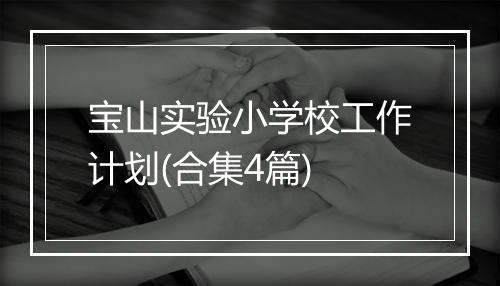 宝山实验小学校工作计划(合集4篇)