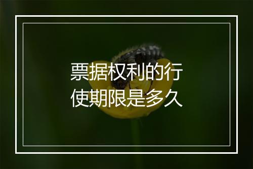 票据权利的行使期限是多久