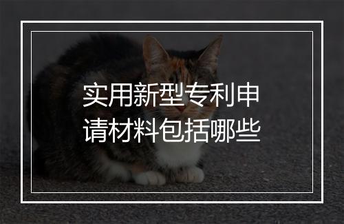 实用新型专利申请材料包括哪些