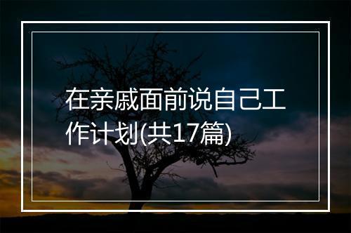 在亲戚面前说自己工作计划(共17篇)