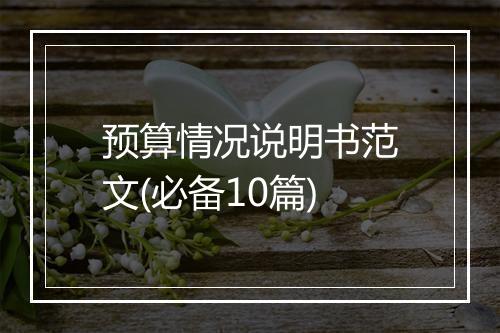 预算情况说明书范文(必备10篇)