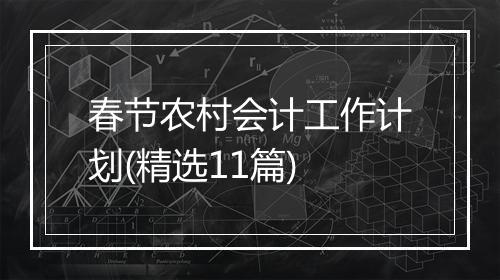 春节农村会计工作计划(精选11篇)