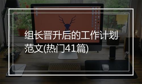 组长晋升后的工作计划范文(热门41篇)