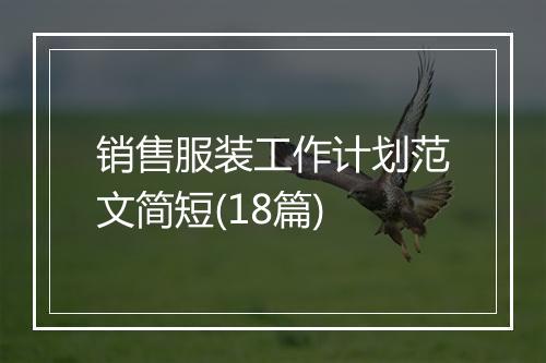 销售服装工作计划范文简短(18篇)