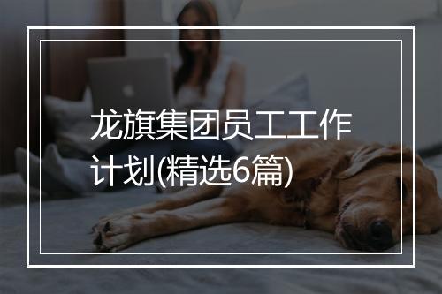 龙旗集团员工工作计划(精选6篇)