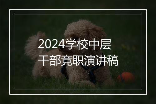 2024学校中层干部竞职演讲稿