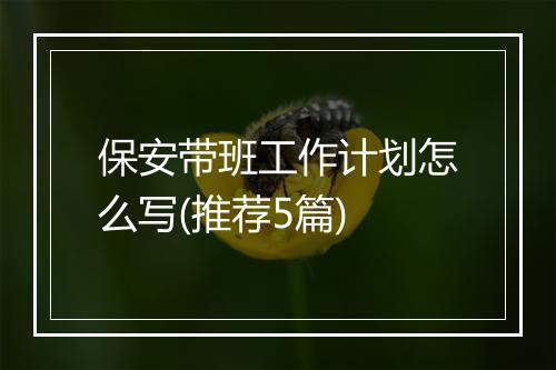 保安带班工作计划怎么写(推荐5篇)