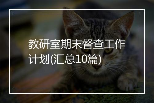 教研室期末督查工作计划(汇总10篇)