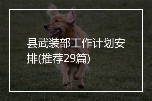 县武装部工作计划安排(推荐29篇)