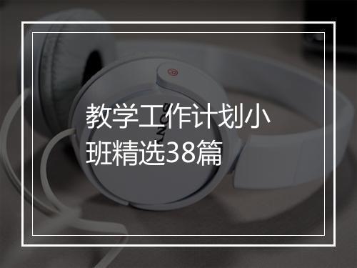 教学工作计划小班精选38篇