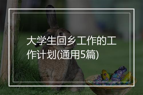 大学生回乡工作的工作计划(通用5篇)