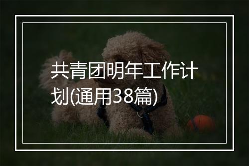 共青团明年工作计划(通用38篇)