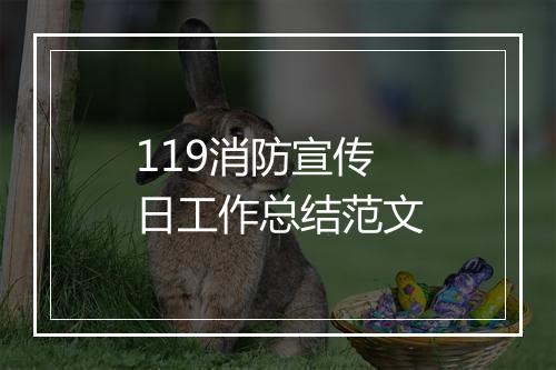 119消防宣传日工作总结范文