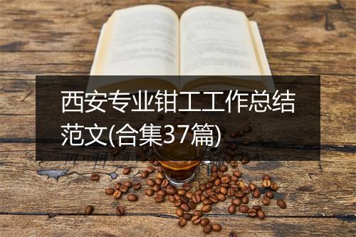 西安专业钳工工作总结范文(合集37篇)