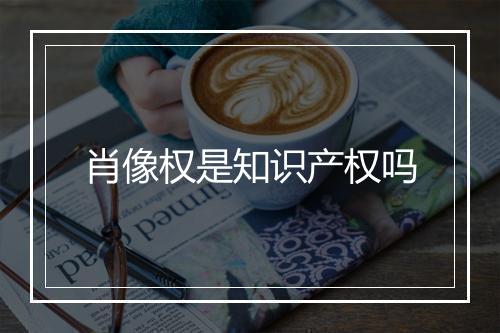 肖像权是知识产权吗