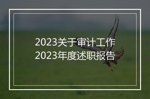 2023关于审计工作2023年度述职报告