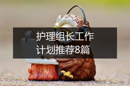 护理组长工作计划推荐8篇