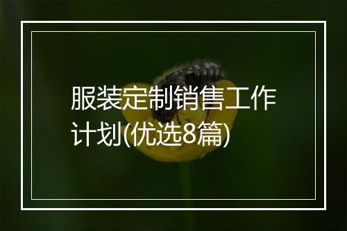 服装定制销售工作计划(优选8篇)