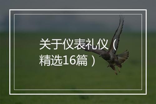 关于仪表礼仪（精选16篇）