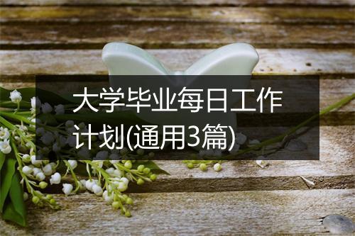 大学毕业每日工作计划(通用3篇)