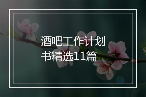 酒吧工作计划书精选11篇