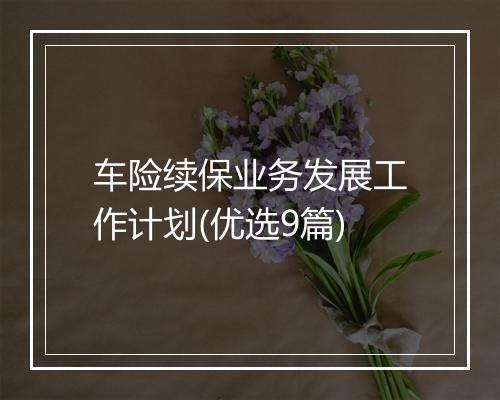 车险续保业务发展工作计划(优选9篇)