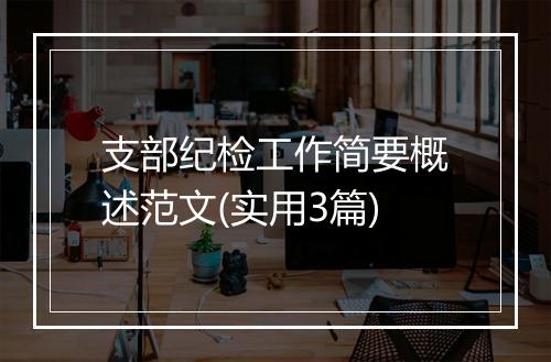 支部纪检工作简要概述范文(实用3篇)