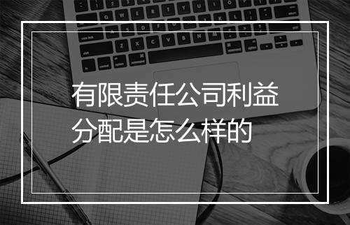 有限责任公司利益分配是怎么样的