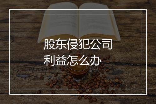 股东侵犯公司利益怎么办