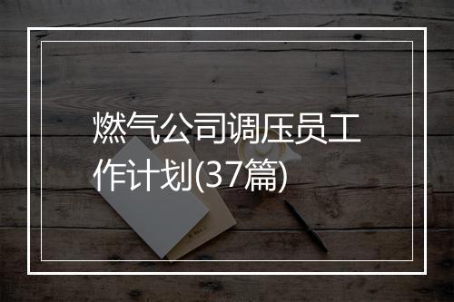 燃气公司调压员工作计划(37篇)