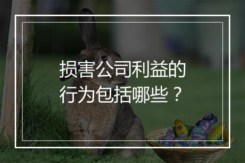 损害公司利益的行为包括哪些？