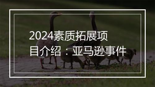 2024素质拓展项目介绍：亚马逊事件