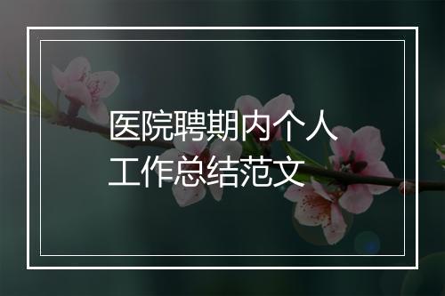 医院聘期内个人工作总结范文