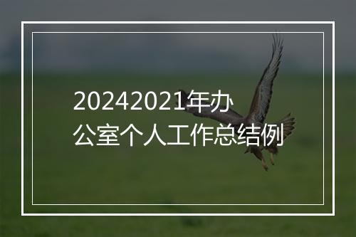 20242021年办公室个人工作总结例