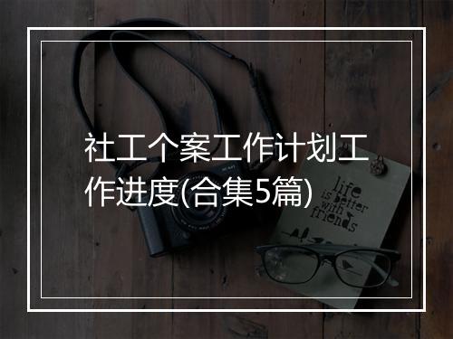 社工个案工作计划工作进度(合集5篇)