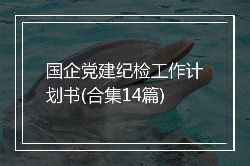 国企党建纪检工作计划书(合集14篇)