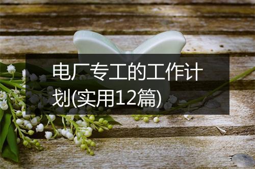 电厂专工的工作计划(实用12篇)