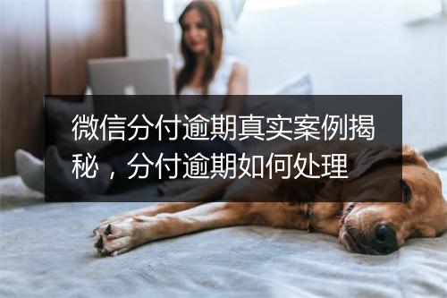 微信分付逾期真实案例揭秘，分付逾期如何处理