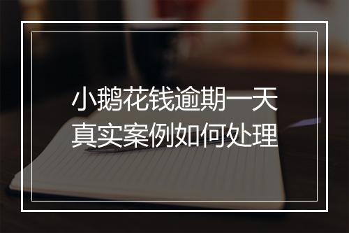 小鹅花钱逾期一天真实案例如何处理